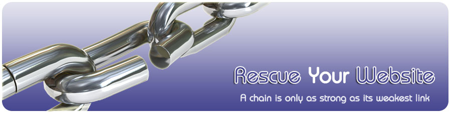 Rescue Your Website